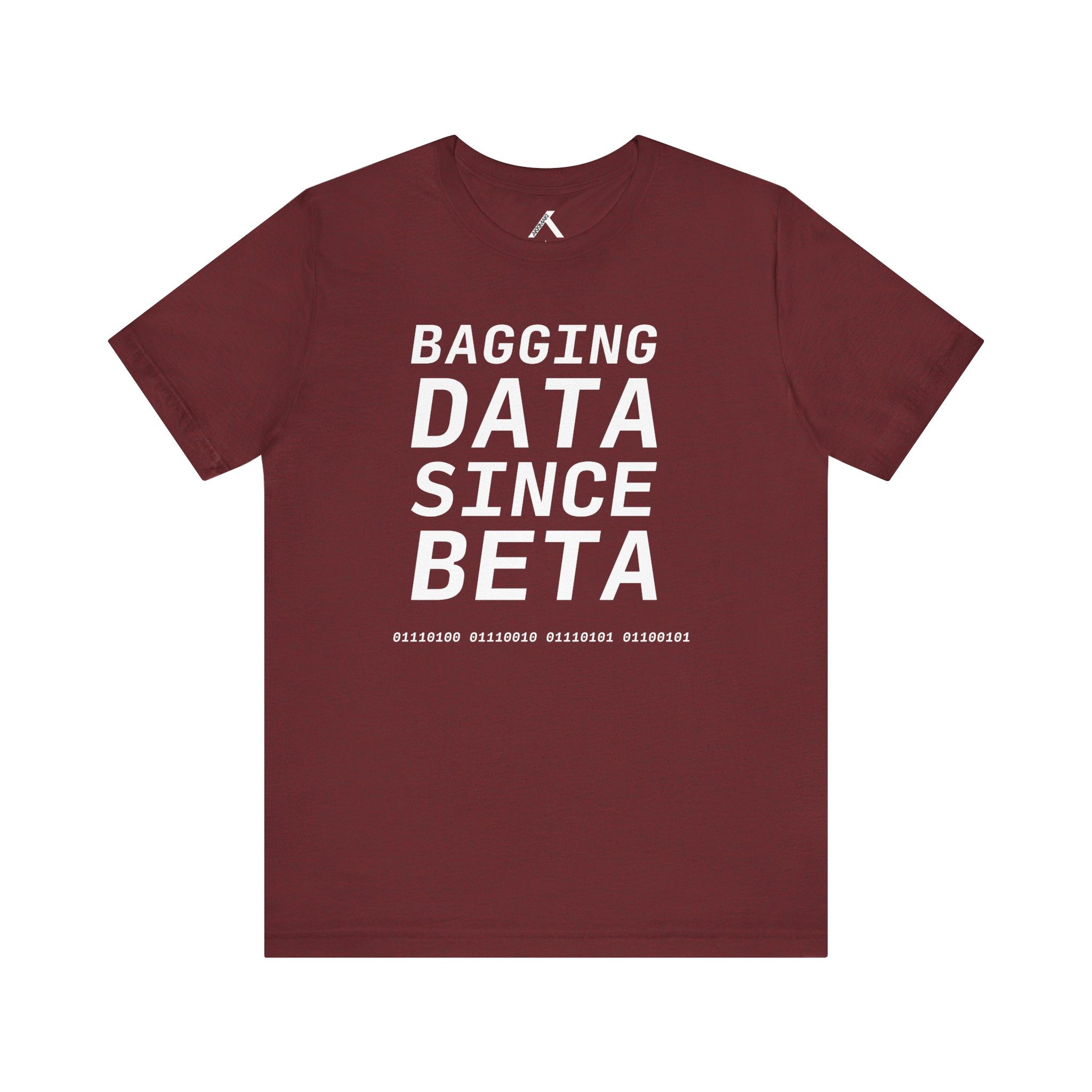Data Enthusiast Unisex Tee